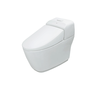 Bàn cầu INAX AC-1032VN