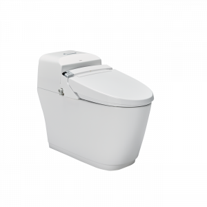 Bàn cầu INAX AC-1032+CW-KA22AVN