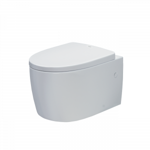 Bàn cầu INAX AC-952VN