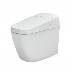 Bàn cầu điện tử INAX SATIS G/ AC-G216VN/BW1