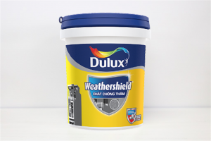 Chất Chống Thấm Dulux Weathershield 6Kg/Thùng